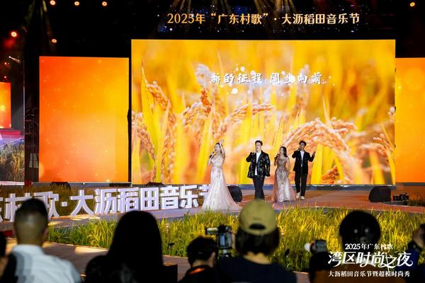 图片4 佛山市南海区大沥镇稻田音乐节活动.jpg
